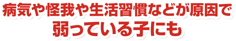 病気や怪我や生活習慣などが原因で弱っている子にも。